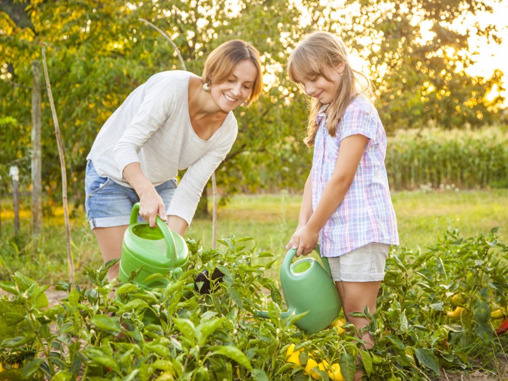 Gardening and Landsacping